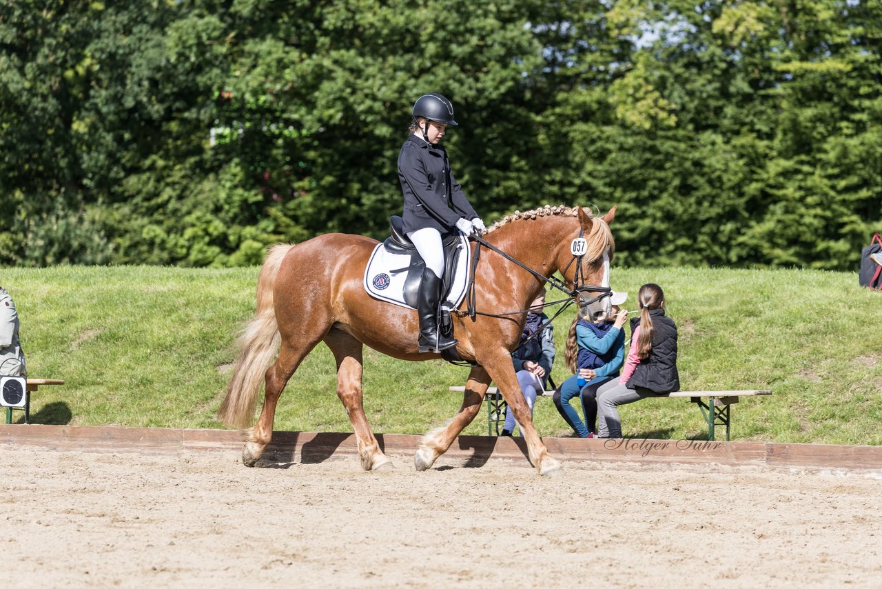 Bild 60 - Pony Akademie Turnier